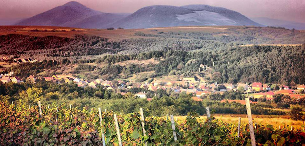 Góry, zabytki i wino